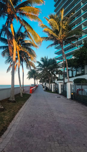 Miami beachfront promenade at dawn with tall palm trees and ocean view